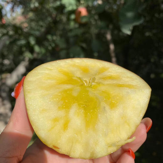 新疆阿克苏冰糖心苹果  4.5- 7.5斤装 商品图5