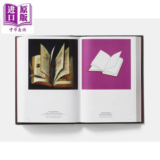 预售 【中商原版】阅读艺术：书痴的艺术 英文原版 Reading Art: Art for Book Lovers David Trigg 商品图5