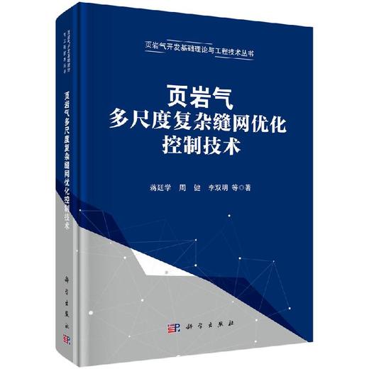 页岩气多尺度复杂缝网优化控制技术 商品图0