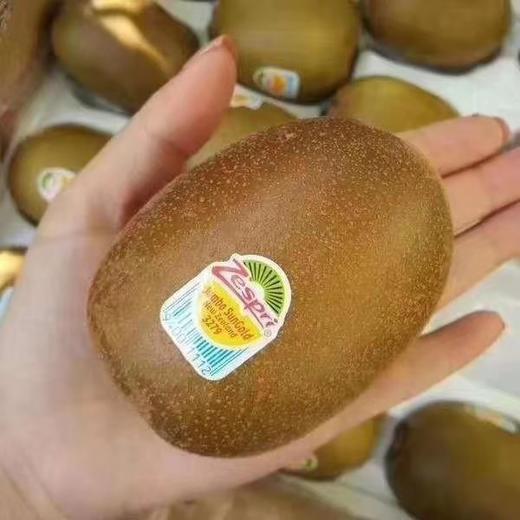 【严选+应季鲜食】新西兰佳沛金果原箱（27-30枚） 商品图5