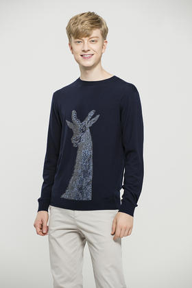 callisto混色编织感刺绣毛衣 进口羊毛FOKNW211NA