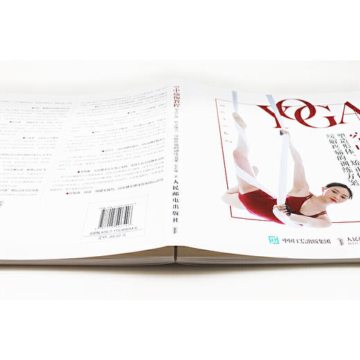 空中瑜伽教程 塑造形体 矫正体态 缓解疼痛的训练方案 商品图3