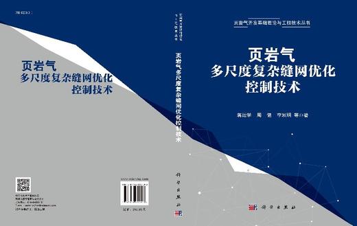 页岩气多尺度复杂缝网优化控制技术 商品图3