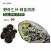 【东北特产】纯正野生大兴安岭秋木耳 500g 干净 无根肉厚爽脆 内蒙 商品缩略图0
