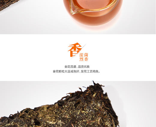 中茶牌 安化黑茶金花MM茯砖卡盒/300g*1盒/HT2075JPY带授权招加盟代理 商品图7