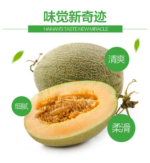 【新货秒杀】金宏小蜜 口感脆嫩香甜 汁水饱满 纹络清晰 1件4个,13-14