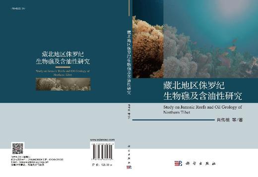 藏北地区侏罗纪生物礁及含油性研究 商品图3