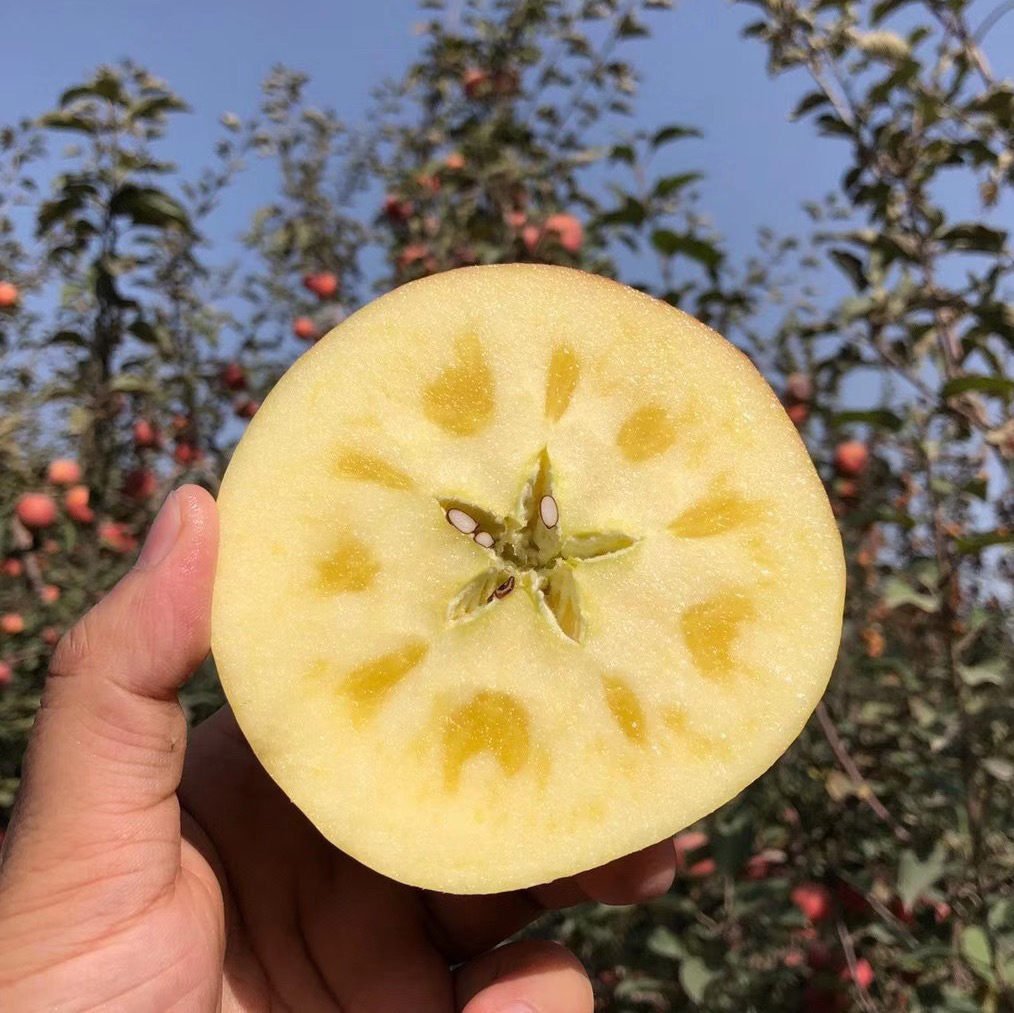 新疆阿克苏冰糖心苹果  4.5- 7.5斤装