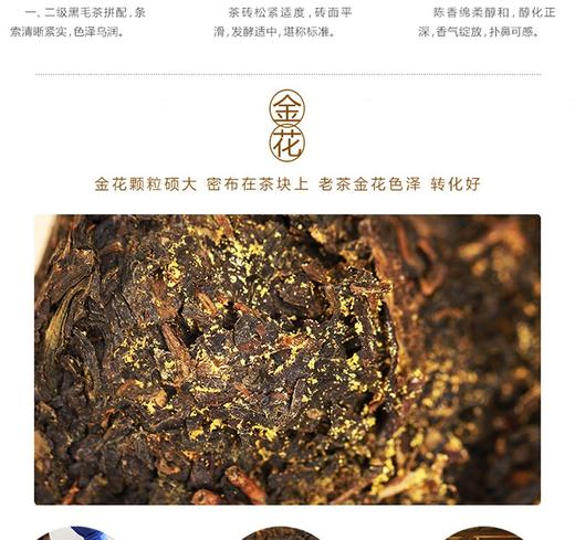 中茶牌 安化黑茶 手筑茯砖金花MM/360g*1盒/HT2101JPY带授权招加盟代理 商品图5