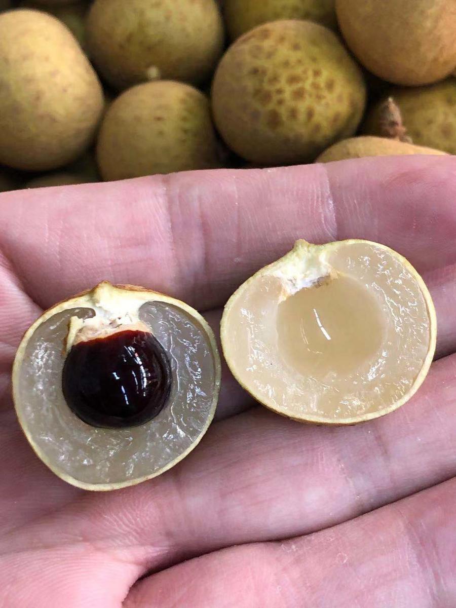 周三取货:金果源鲜龙眼,一盒2斤,甜到齁人