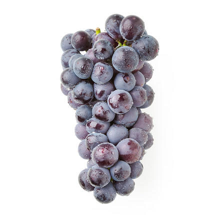 【国庆拼团18.8元/箱】新鲜巨峰葡萄1箱 (带箱重约5斤)【当天可提货】 商品图1