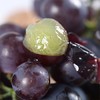 【国庆拼团18.8元/箱】新鲜巨峰葡萄1箱 (带箱重约5斤)【当天可提货】 商品缩略图9