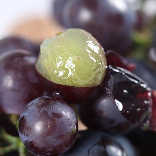 【国庆拼团18.8元/箱】新鲜巨峰葡萄1箱 (带箱重约5斤)【当天可提货】 商品图9