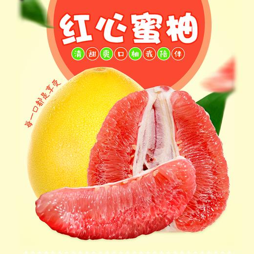 【1颗】都乐红心蜜柚1颗 (重约750g—900g)【2日内提货】 商品图0