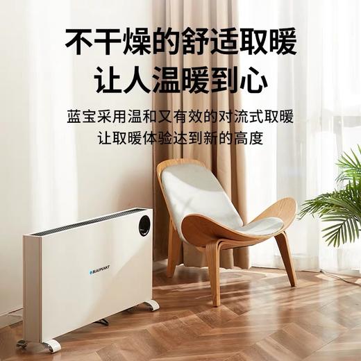 德国蓝宝地暖式全屋取暖器 商品图2
