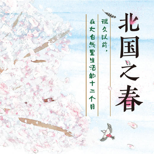 娃娃龙原创图画书 北国之春 精装图画故事书 展现自然之美 商品图4