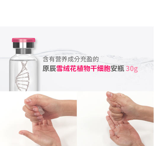 【韩国直邮】韩国原辰Wonjin Effect复颜活肤植物干细胞面膜30g*10片JPY带授权招加盟代理 商品图10