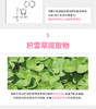 【韩国直邮】韩国原辰Wonjin Effect复颜活肤植物干细胞面膜30g*10片JPY带授权招加盟代理 商品缩略图7