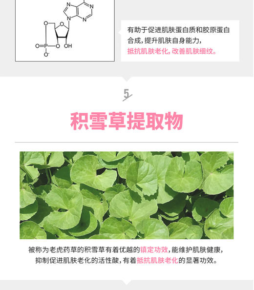 【韩国直邮】韩国原辰Wonjin Effect复颜活肤植物干细胞面膜30g*10片JPY带授权招加盟代理 商品图7