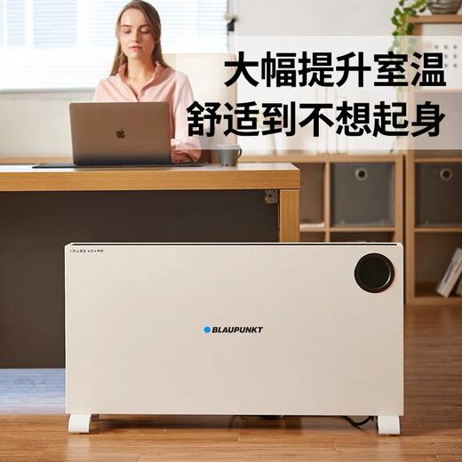 德国蓝宝地暖式全屋取暖器 商品图1