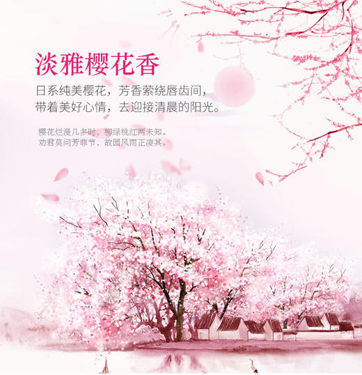 狮王花语白樱花牙膏140gJPY带授权招加盟代理 商品图4