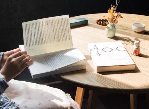 《大师巨匠》（全2册）百年大师世纪巨匠 中国人的灵魂书房 商品图4