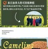 加拿大ArcticaFood北极食品 黄金亚麻荠子 JPY带授权招加盟代理 商品缩略图7