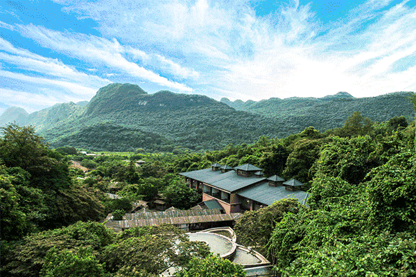 299元清远英德61天门沟九州驿站森林树上泡药浴汤泉门票1张