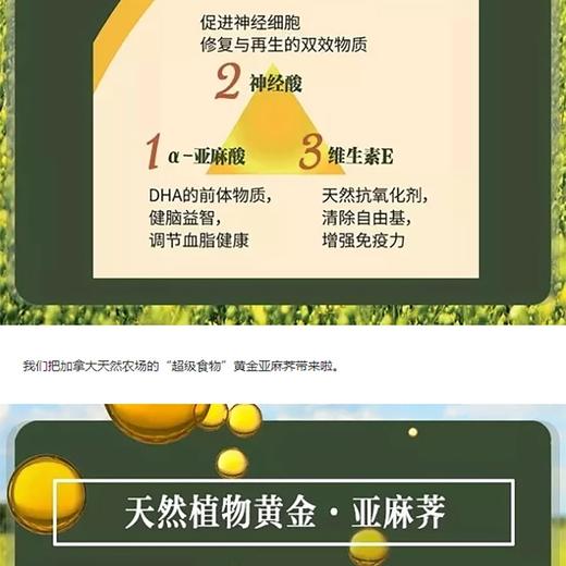 加拿大ArcticaFood北极食品 黄金亚麻荠子 JPY带授权招加盟代理 商品图5