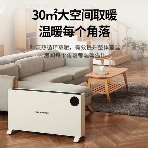 德国蓝宝地暖式全屋取暖器 商品图0