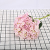 绣球·浅粉色 商品缩略图0