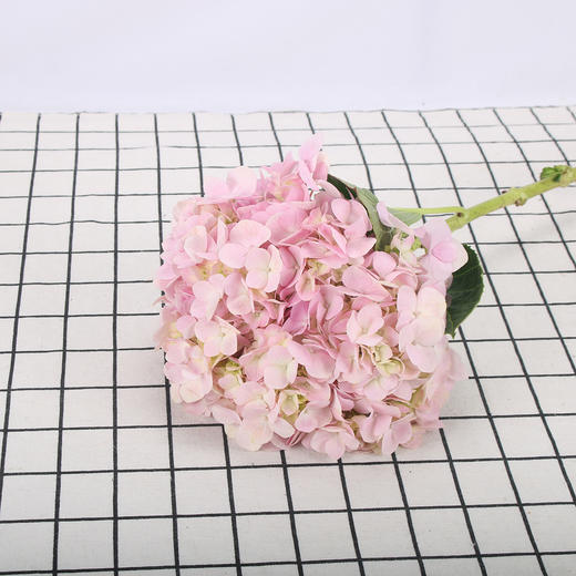 绣球·浅粉色 商品图0