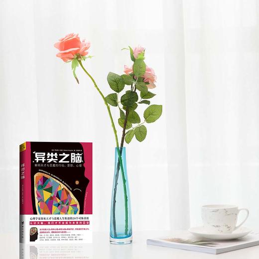 异类之脑：解码天才与恶魔的行动、思想、心理 商品图3