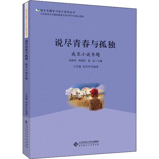 说尽青春与孤独 成长小说专题 商品图0