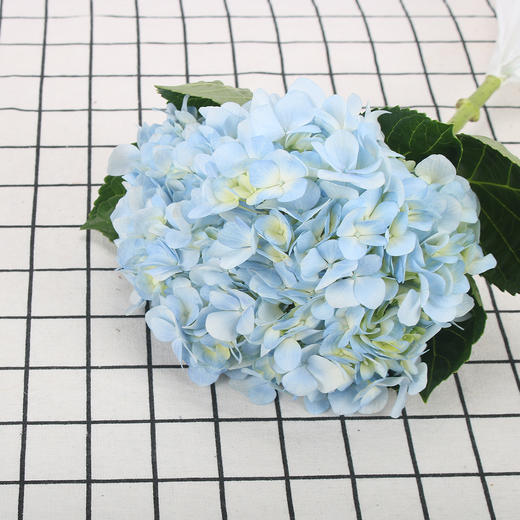 绣球·浅蓝色 商品图0