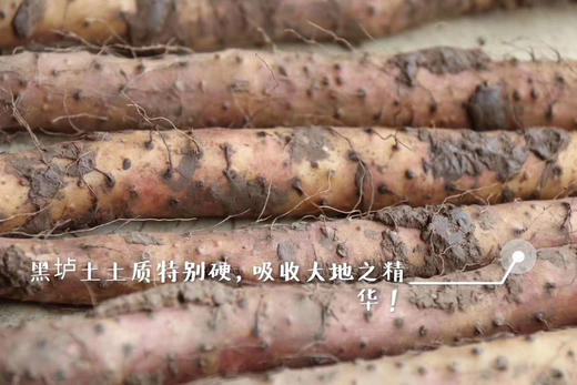 【秒杀款】温县垆土铁棍小山药 4.8-5斤 （长约25公分左右）会有断的山药情况 不影响食用 介意慎拍 商品图8