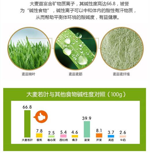 【热卖】ISDG 大麦若叶青汁 50支/盒JPY带授权招加盟代理 商品图7