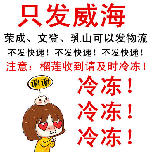上上乐新鲜树熟金枕冷冻去核榴莲肉泰国进口 250g/盒   盒/箱 两种规格可选 商品图2