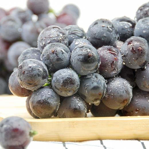 【国庆拼团18.8元/箱】新鲜巨峰葡萄1箱 (带箱重约5斤)【当天可提货】 商品图5