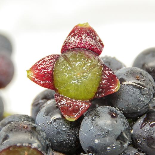 【国庆拼团18.8元/箱】新鲜巨峰葡萄1箱 (带箱重约5斤)【当天可提货】 商品图6