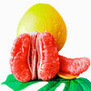 【1颗】都乐红心蜜柚1颗 (重约750g—900g)【2日内提货】 商品缩略图5