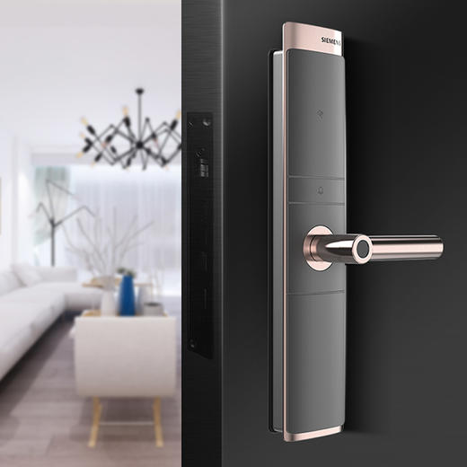 员工内购平台西门子指纹锁 智能锁家用防盗门智能电子锁密码锁磁卡锁 C321 商品图2