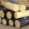 漠沙甘蔗1棵约2000g 商品缩略图1