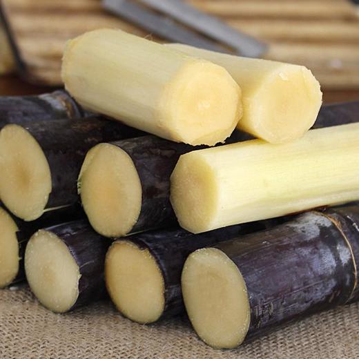 漠沙甘蔗1棵约2000g 商品图1