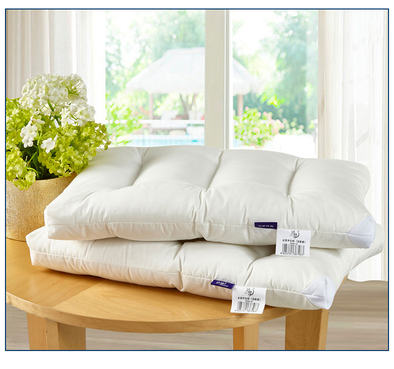 远梦水洗学生枕（送枕套）