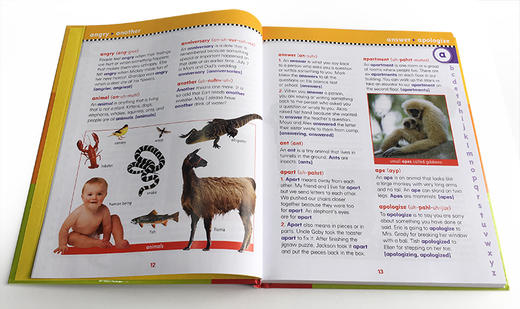 Scholastic First Dictionary 学乐儿童图画图解辞典 精装 4-12岁 商品图2