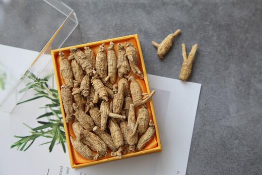 【中国医药】加拿大进口西洋参原尾泡 150g 商品图1