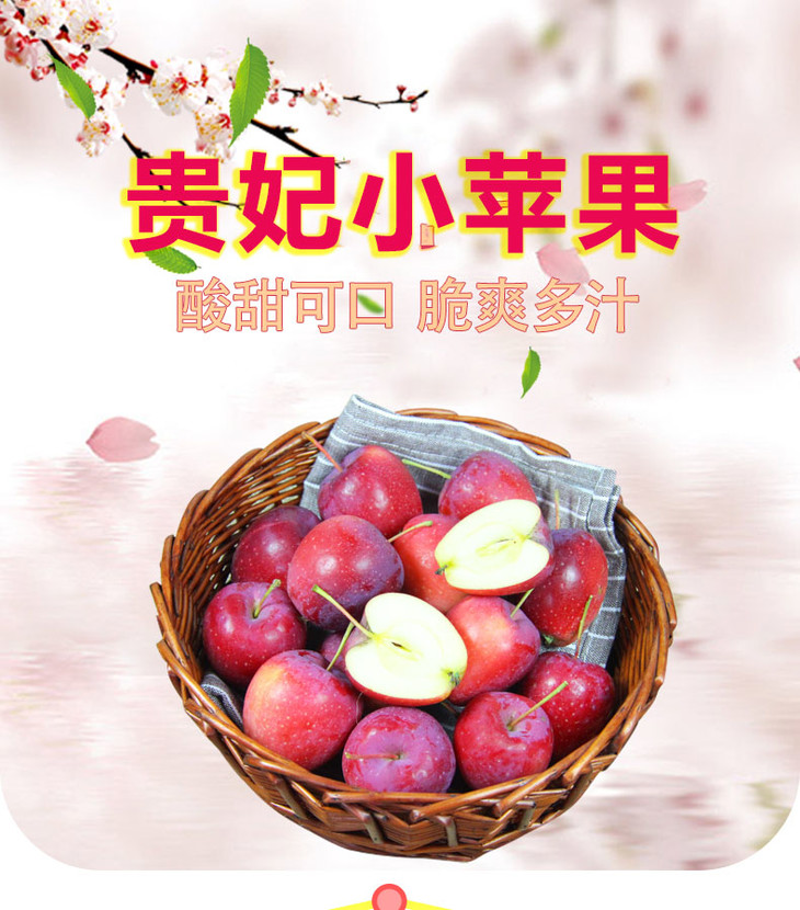 新鲜贵妃苹果 (11.5元/斤)