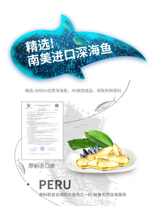 忘不了成人备考补DHA改善记忆抗疲劳双赢胶丸180粒/瓶 商品图3