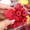 Driscoll’s 怡颗莓 云南新鲜树莓（盒） 商品缩略图2